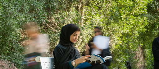 6 Best Universities in Qatar for 2026